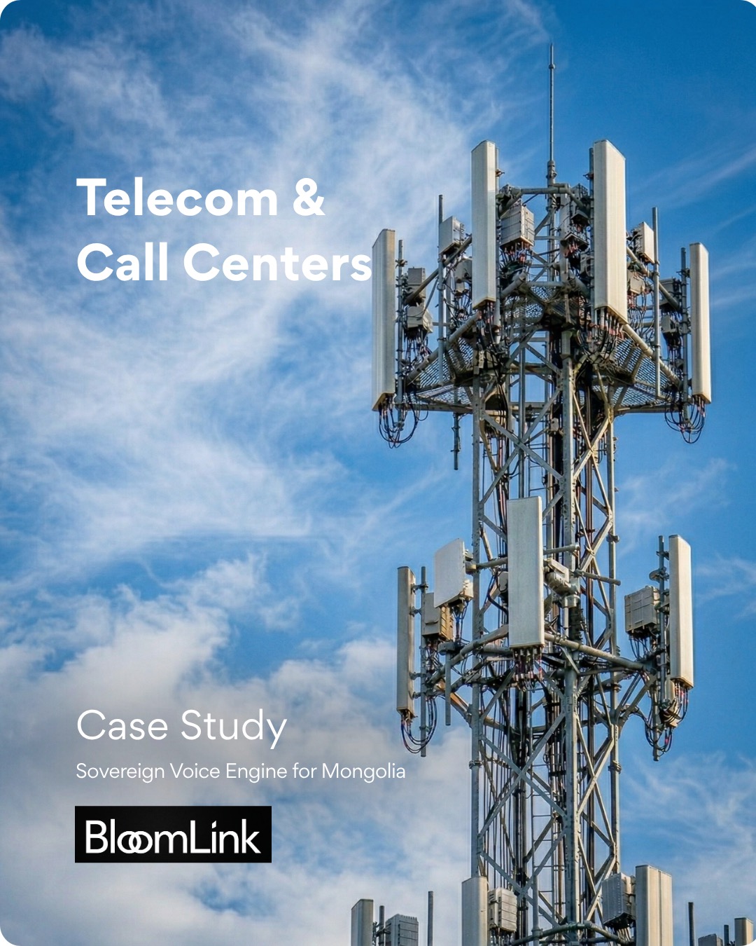Bloomlink — Telecom & Call Centers Case Study